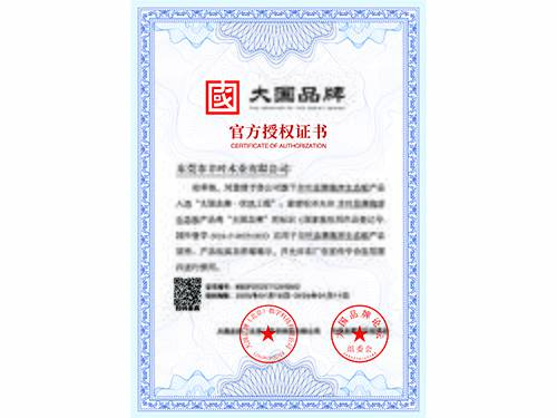 丰叶：《大国品牌》