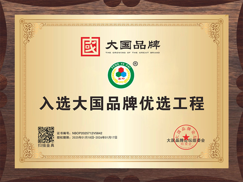 丰叶：《大国品牌》