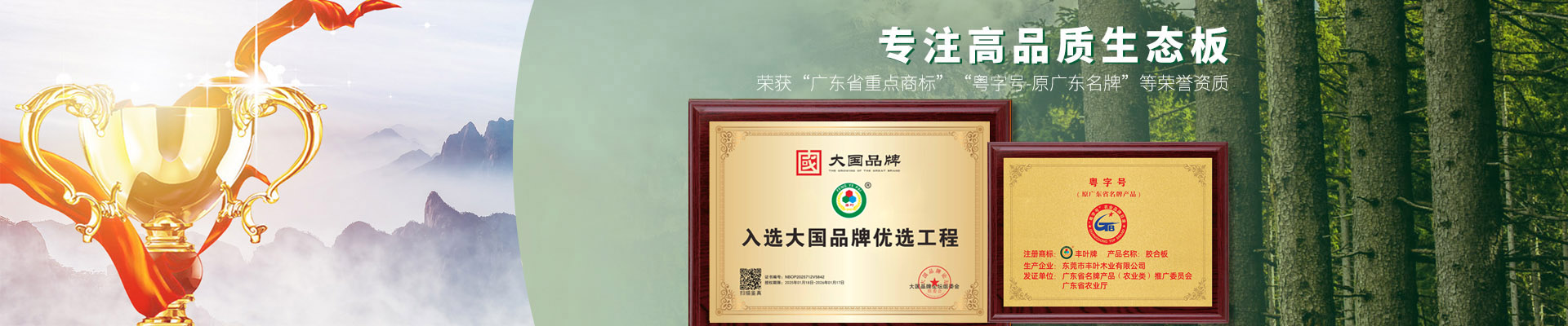 公司相册