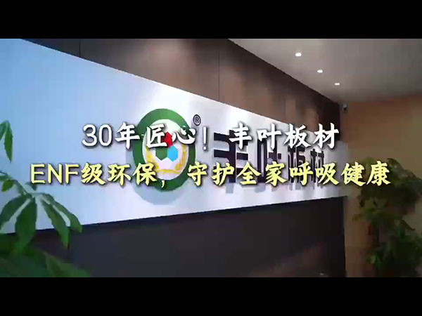 企业宣传视频