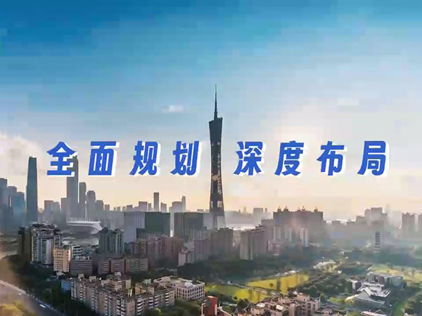 视频展示