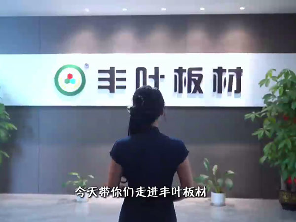 视频展示