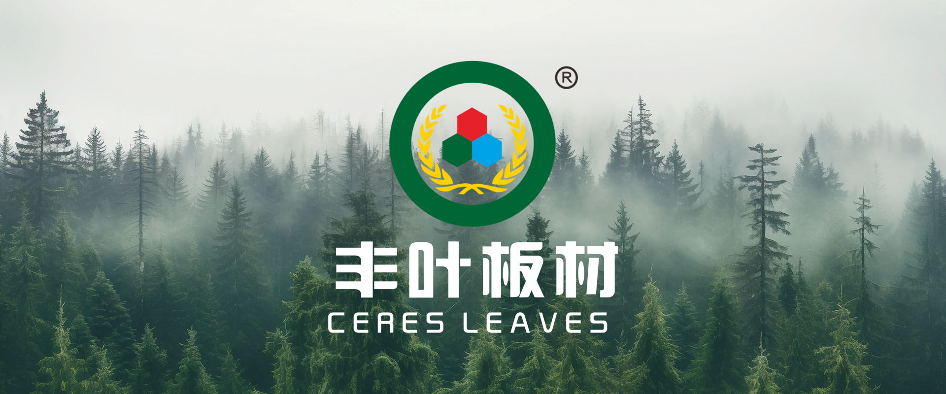幻灯片